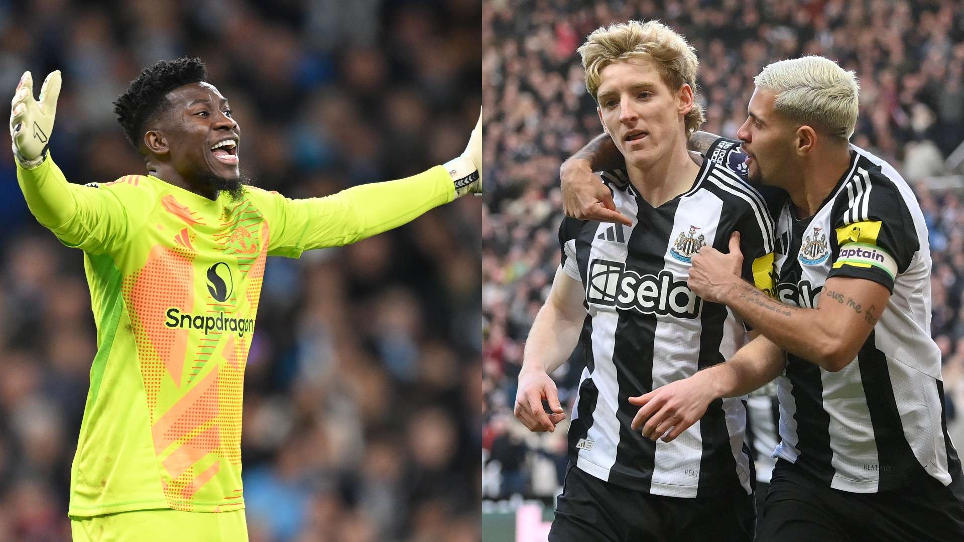 球员和教练 球员和教练