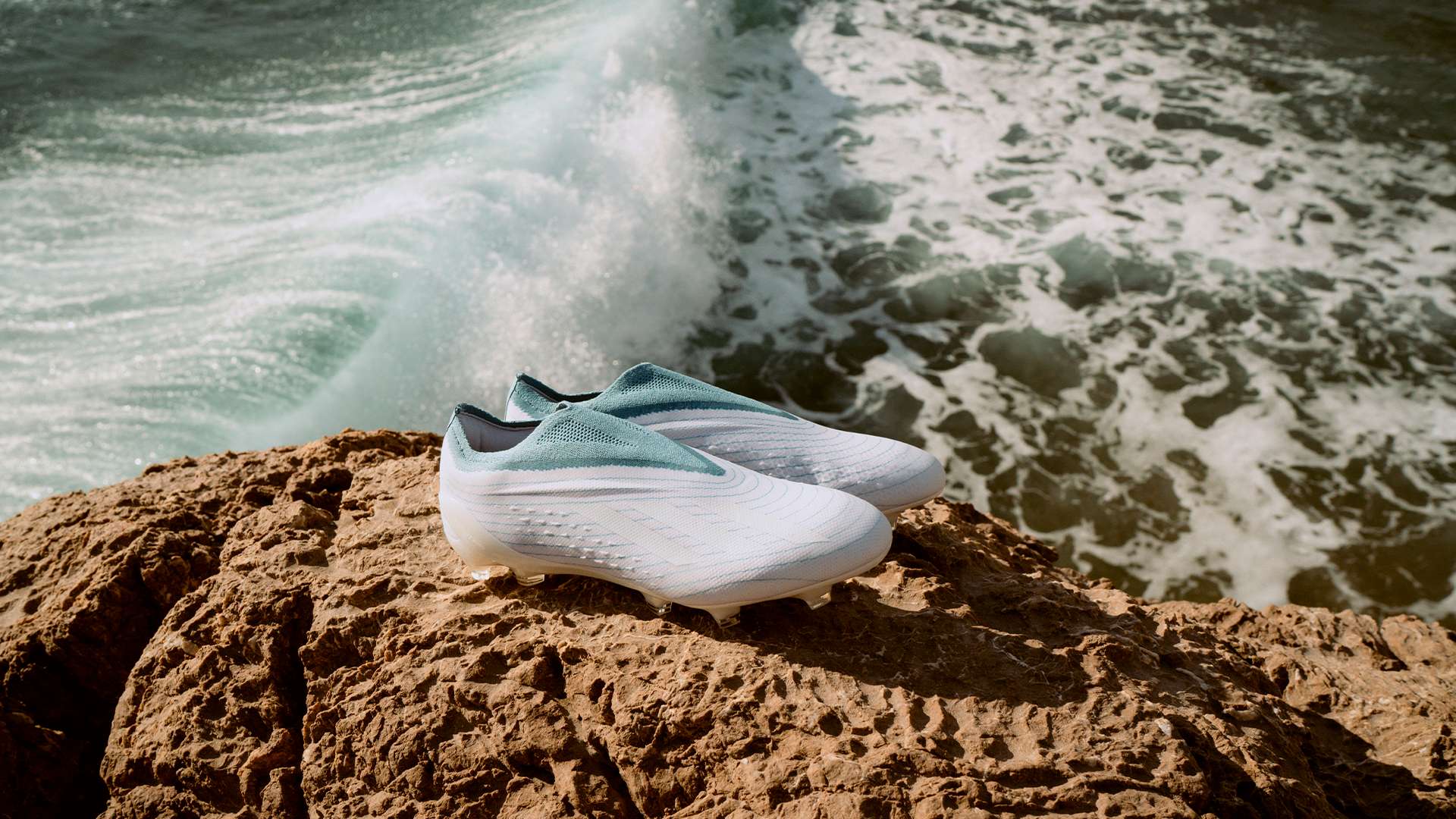 和多样化的 和多样化的